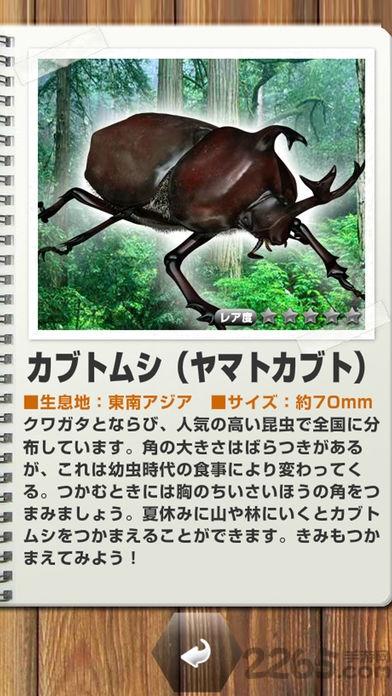世界的昆虫采取免费版下载,世界的昆虫采取,模拟游戏,休闲游戏